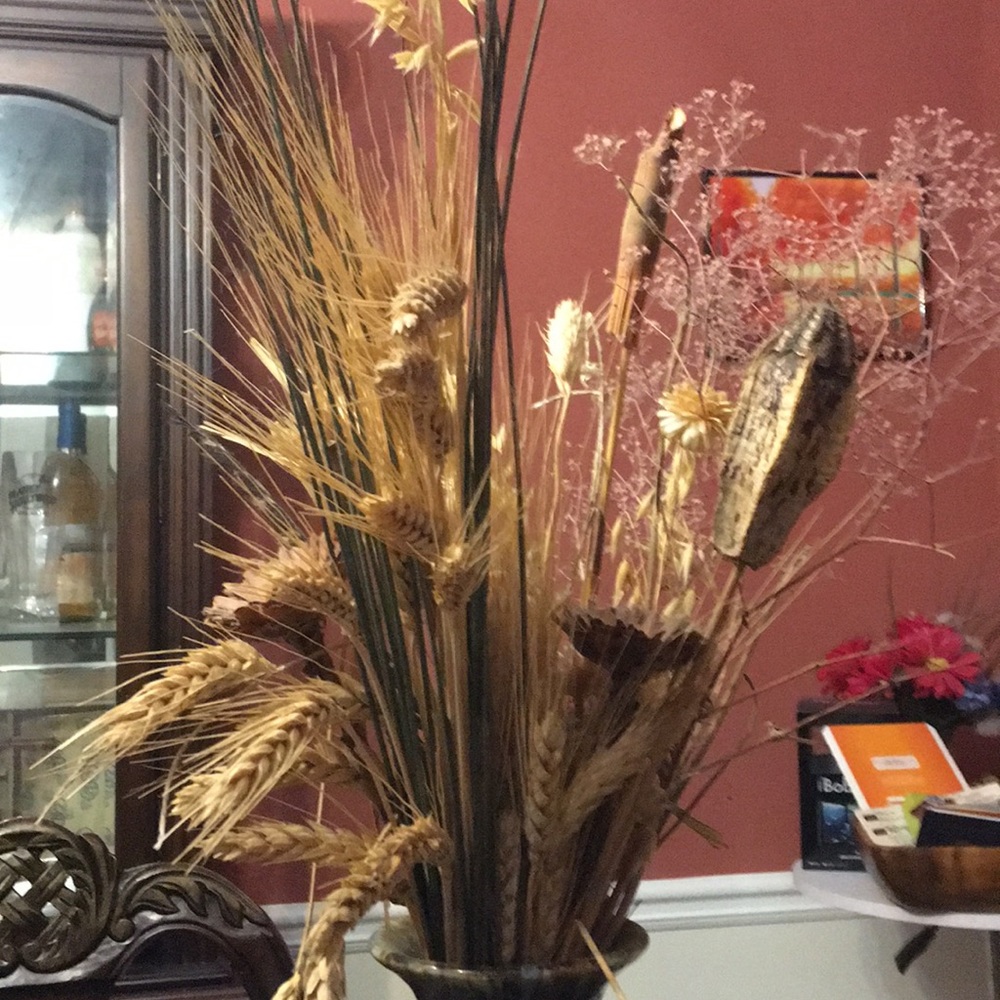 Meet your Posher, Cathy